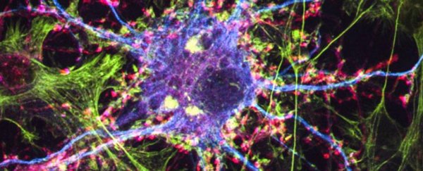 Researchers synthesise a psychedelic that could treat depression without hallucinations