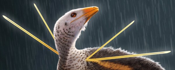 Newfound dinosaur had outrageous feather-like decoration