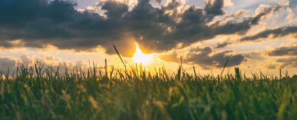 New material can store energy from the Sun for months or even years