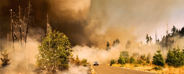 'This is suicidal': 2020 is on track to be second-hottest year on record