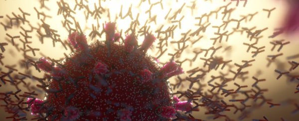 New evidence suggests COVID-19 could be a kind of autoimmune disease. Here's why