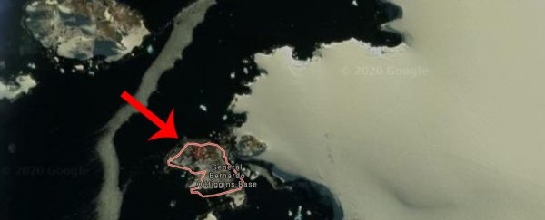The last continent untouched by COVID-19 just had an outbreak