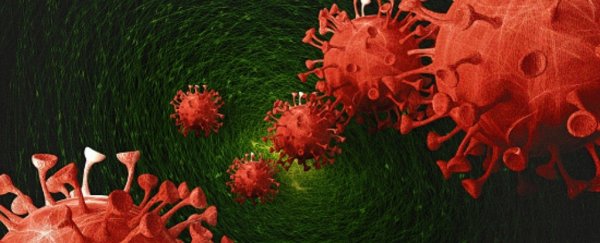 New study reveals SARS-CoV-2 can invade the brain through the nose