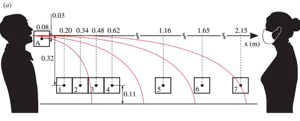 Schematic diagram of the experimental setup. 