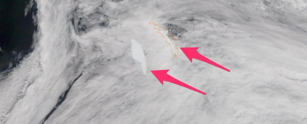 World's Largest Iceberg On Track to Crash Into Island Haven for Penguins and Seals