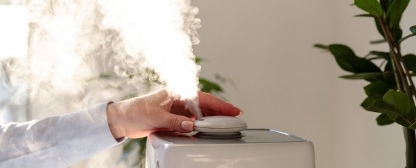 Using a humidifier might reduce your chances of contracting COVID-19
