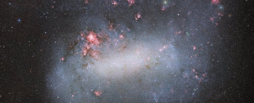Wide-angle view of the Large Magellanic Cloud.  