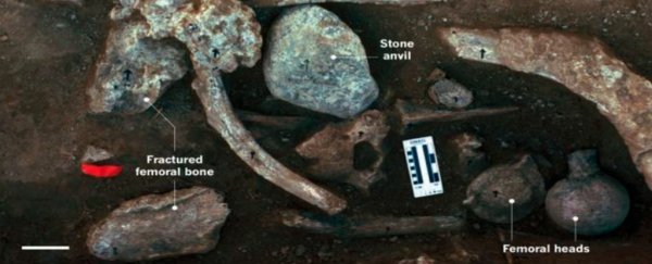 New evidence supports controversial claim of humans in the Americas 130,000 years ago