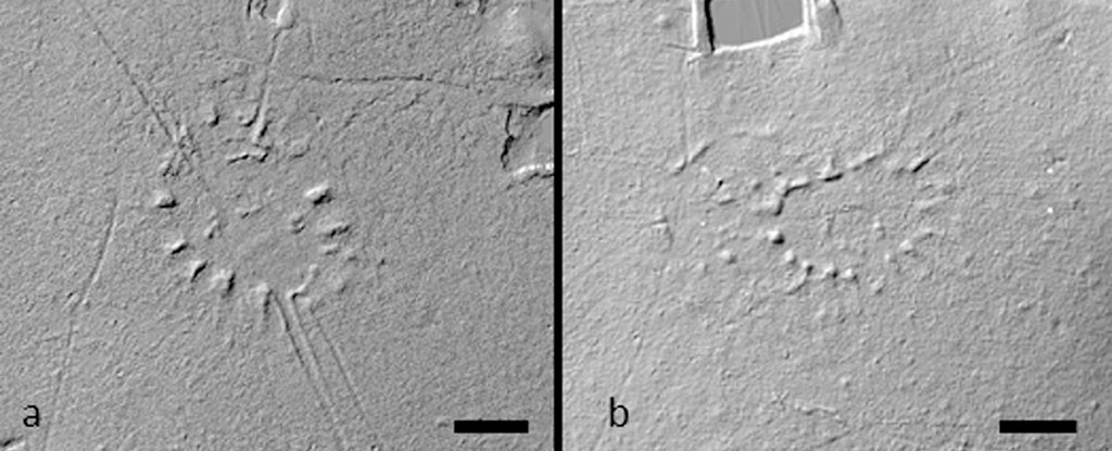 main article image