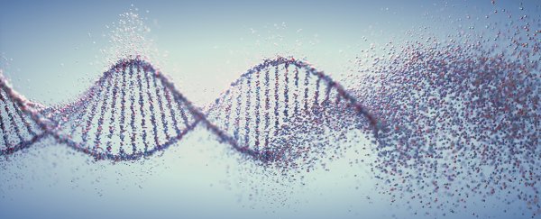 There's Growing Evidence Life on Earth Started With More Than Just RNA  Rna-dna_600