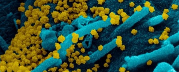 Another, more infectious coronavirus variant has arrived in the UK from South Africa