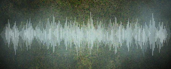 For the first time, physicists have recorded the flowing sound of a 'perfect' fluid