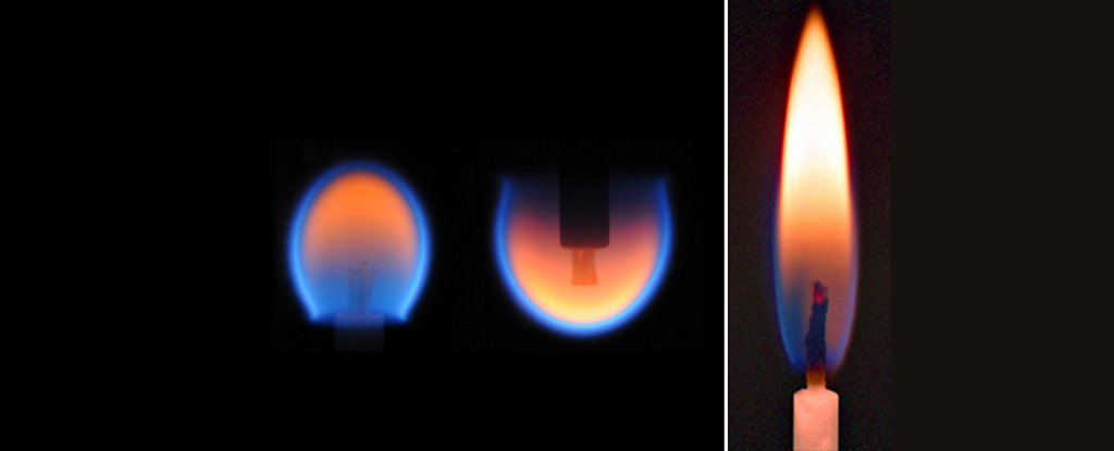 Candle flames in microgravity 