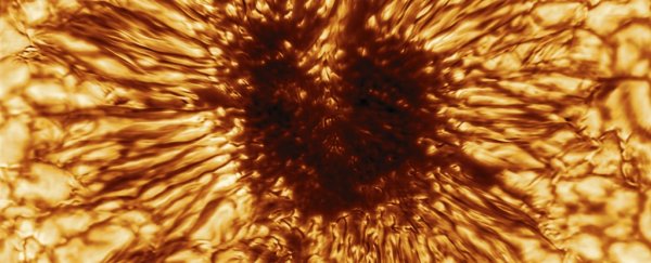 This glorious high-res image of a sunspot will take your breath away