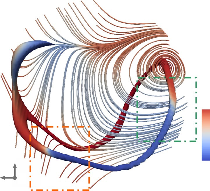 vortices polar reversal