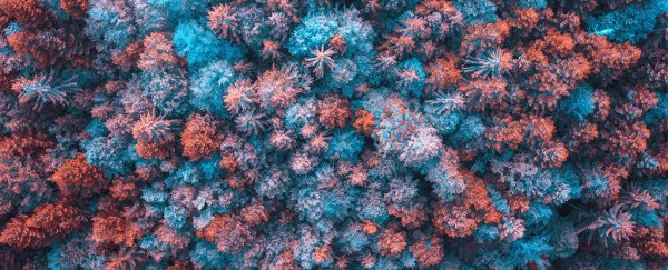New study reveals the content of people's dreams during this weird pandemic time