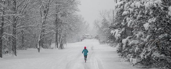 Exercising in the cold could burn off more fat, new research shows