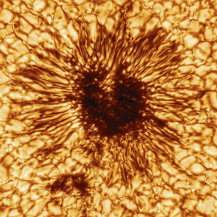 sunspot full