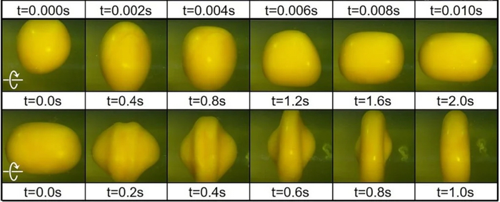 010 egg deformation 1