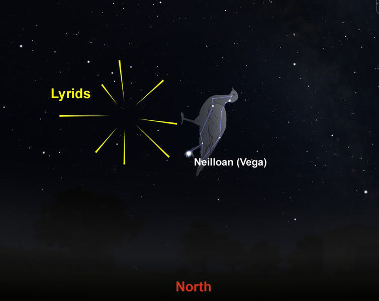 An illustration shows the position of the Lyrid meteors in the Northern sky in 2021