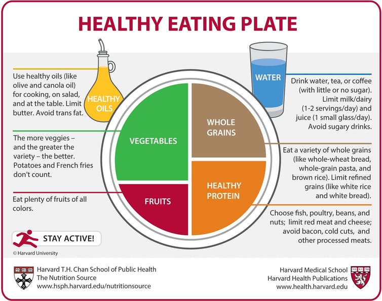 graphic of plate divided into portions of healthy food portions 