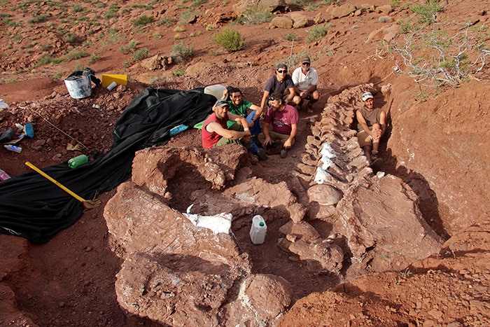 largest dinosaur excavation