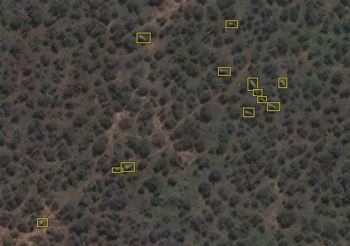 elephants from satellite