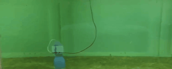 Super efficient jellyfish-inspired robot could become a restorer of coral reefs