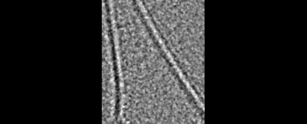 Mind-blowing video reveals the formation of salt crystals from individual atoms