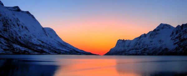 Most microplastics in the Arctic don't come from trash - they're from our clothes