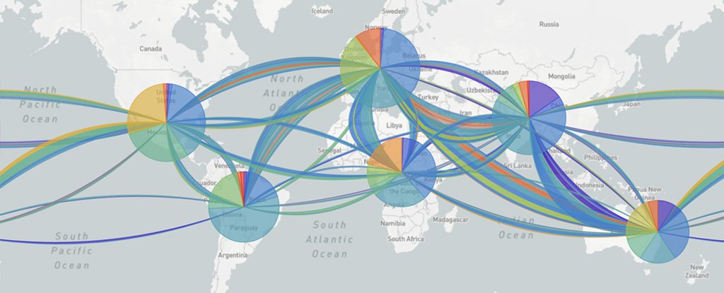 Distribution of the virus's genomes. 