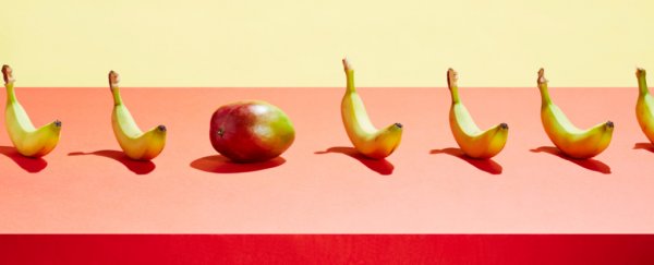 What are anti-nutrients? A nutritionist explains why they're part of a normal diet