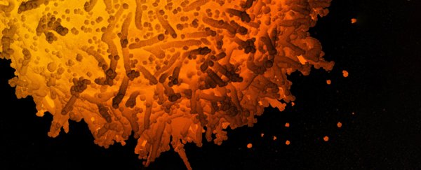 WHO Urges Bolder Response Against 'Alarming' New Coronavirus Variant