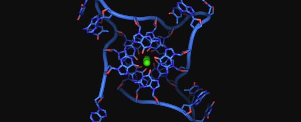 Reconstruction of human telomere DNA quadruplex. 