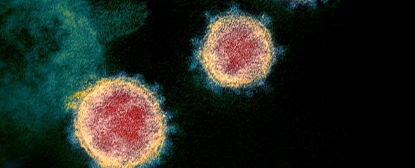 Iceland Genetically Sequences Every COVID-19 Case in World-Leading Strategy