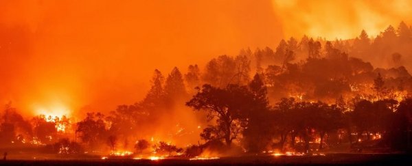 On top of everything else, 2020 has tied for the hottest year on record
