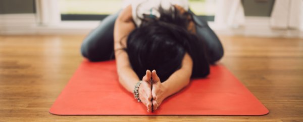 Stretching can be better than walking to lower high blood pressure, study finds