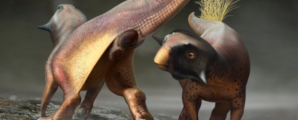 Scientists described a dinosaur's butthole in exquisite detail