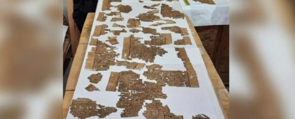 Giant 'Book of the Dead' scroll discovered in ancient Egyptian burial shaft