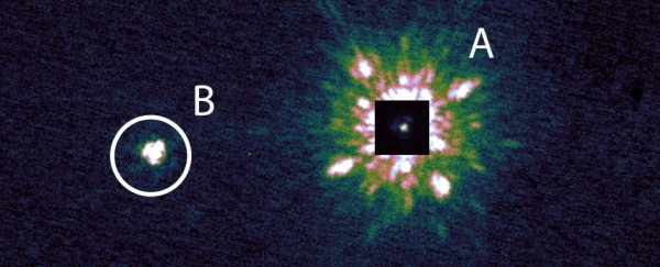 The mysterious 'alien megastructure' star is not alone, astronomers discover