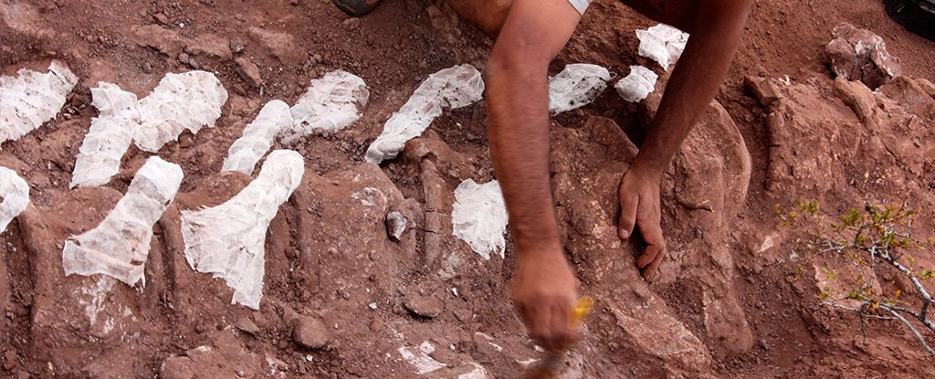 Handout photo showing the excavation process. 