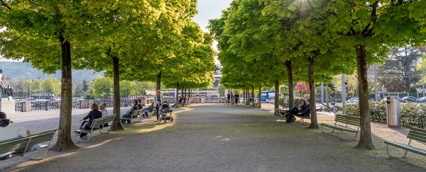 There's a curious effect urban trees might have on depression, study finds