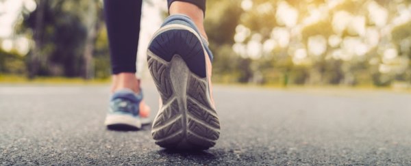 Walking in nature really can ease your mind, small study reveals