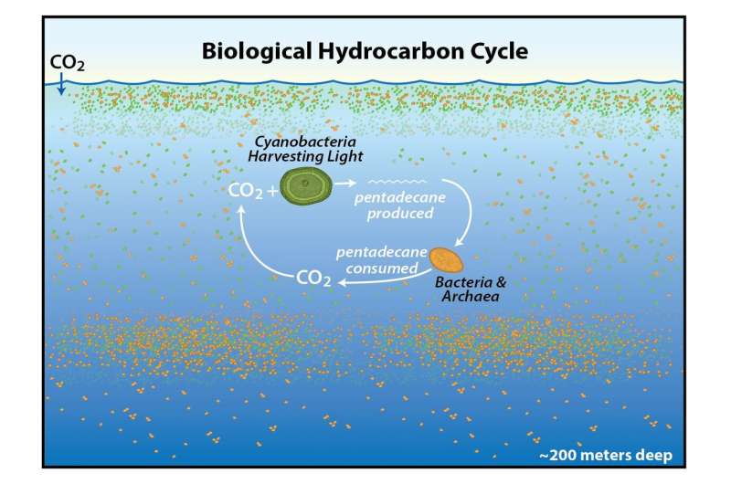 Earth's natural hydrocarbon cycle. (David Valentine/UCSB)