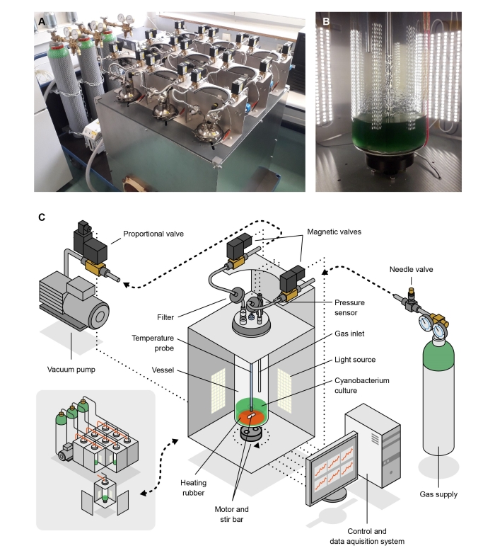 bioreactor