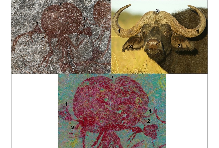 Immagini con misteriose figure dalle teste enormi trovate in Tanzania 2 comp
