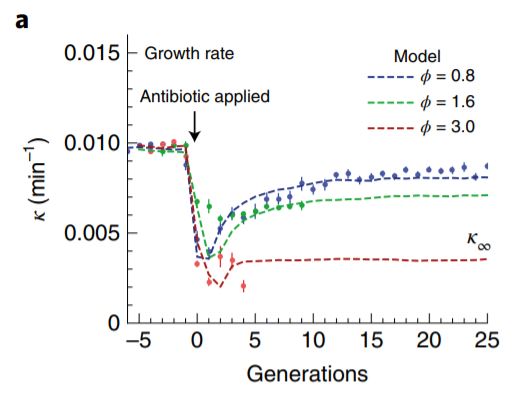 growth rate bacteria