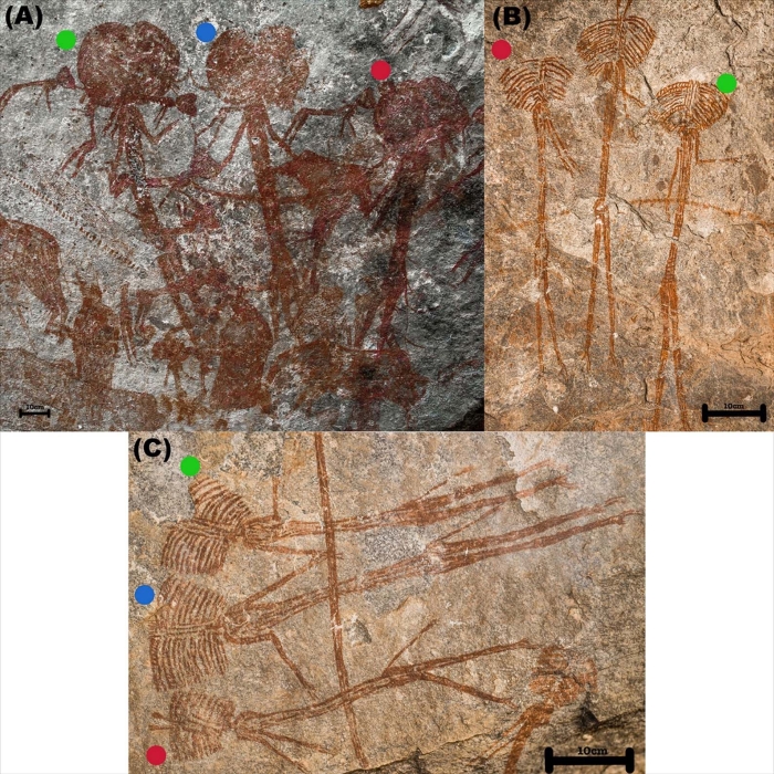 Immagini con misteriose figure dalle teste enormi trovate in Tanzania 3 più fichi