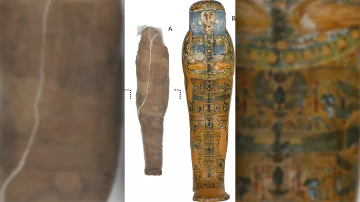 mud mummy and coffin side by side for comparison