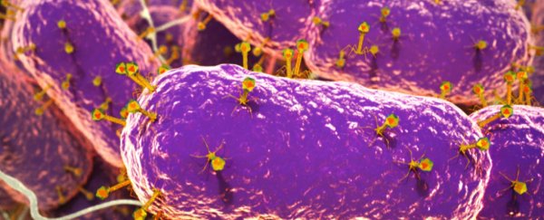 Scientists find 140,000 virus species in the human gut, and most are unknown